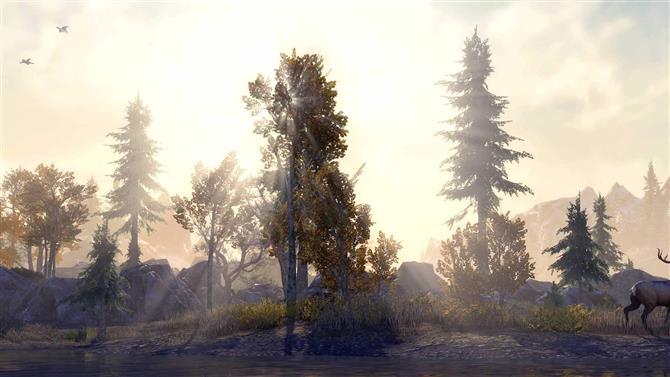 Elder Scrolls Online არის უფასო თამაში ამიერიდან თვის ბოლომდე