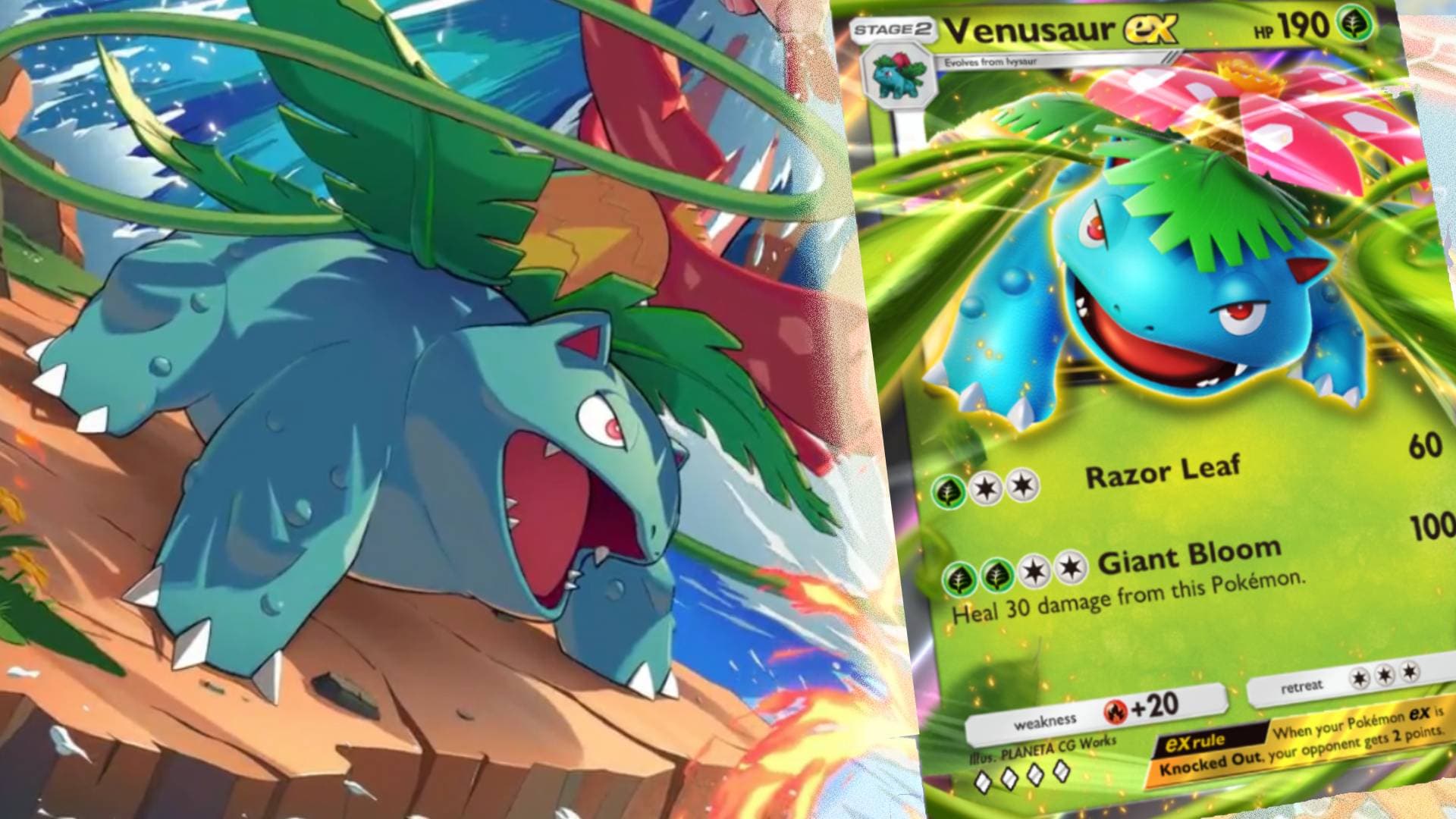 საუკეთესო Pokemon TCG ჯიბის Venusaur Ex Deck და აშენებს